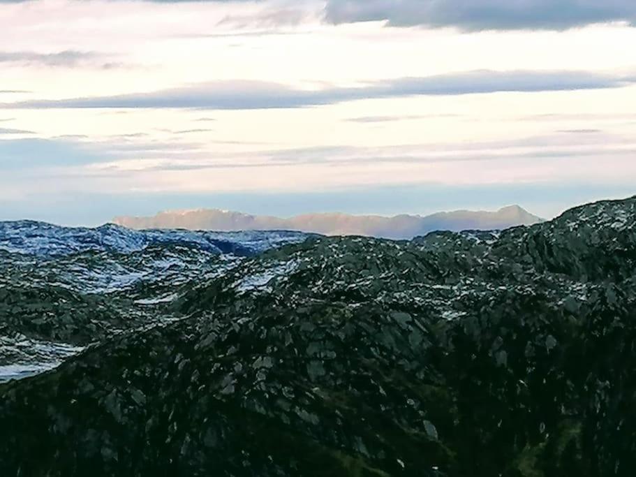 Apartmán Sognevegen 2242 Haugsvaer Exteriér fotografie