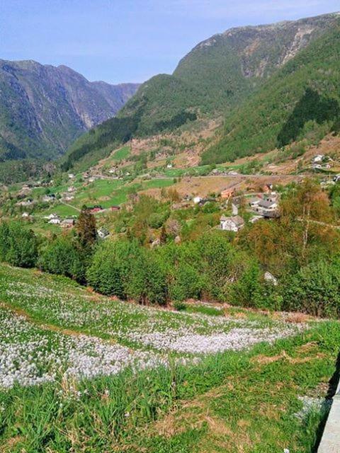 Apartmán Sognevegen 2242 Haugsvaer Exteriér fotografie