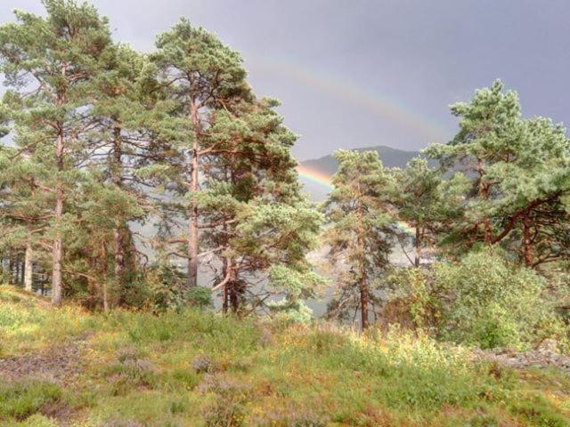 Apartmán Sognevegen 2242 Haugsvaer Exteriér fotografie