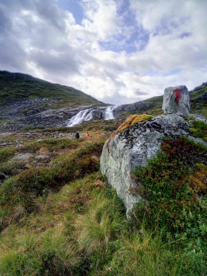 Apartmán Sognevegen 2242 Haugsvaer Exteriér fotografie
